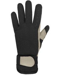 Auclair - Skater Gloves - Lyst