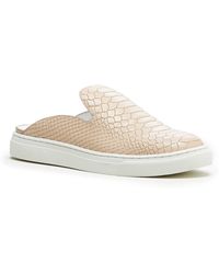 sole society belynda mule