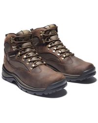 timberland chocorua trail 2 mid gtx
