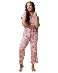Softies - Aria - Lyst