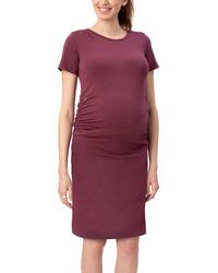 Stowaway Collection - Gramercy Maternity/nursing Dress - Lyst