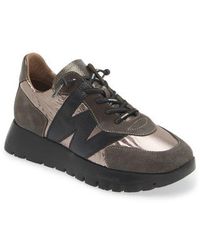 Wonders - Oslo Sneaker - Lyst