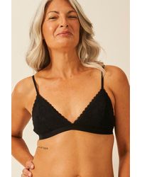 Stripe & Stare - Eco Lace Padded Triangle Bralette & Original Knicker Set - Lyst