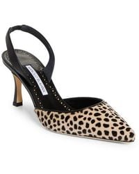 Manolo Blahnik - Carolyne Genuine Calf Hair Slingback Pump - Lyst