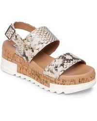 steve madden brenda sport sandal