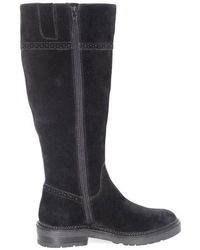 Gentle Souls - Wheron Knee High Boot - Lyst