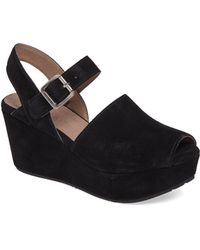 chocolate blue wedges
