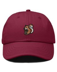 Alix - Squirrel Embroidered Outdoor Cap - Lyst