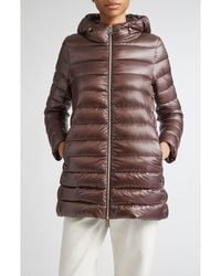 Herno - Shiny Nylon Hooded Down Puffer Jacket - Lyst
