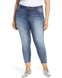 wit and wisdom jeans plus size