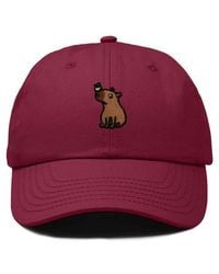 Alix - Capybara Embroidered Everyday Hat - Lyst