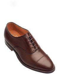 alden oxford shoes