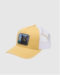 Tentree - Lake Logo Altitude Hat - Lyst