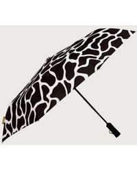 Original Duckhead - Compact Umbrella With Automatic Open-Close Function - Lyst