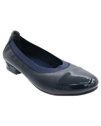 David Tate - Nicole Cap Toe Flat - Lyst
