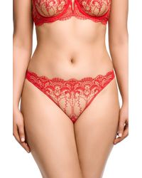Dita Von Teese - Nom De Plum Embroidered Mesh Thong - Lyst