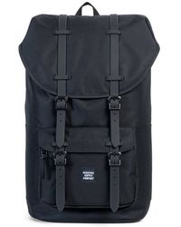 herschel little america aspect