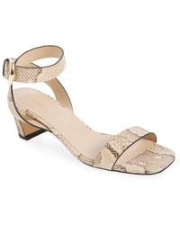 Stuart Weitzman - Sai Sandal 50 - Lyst