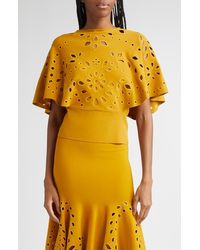 Ulla Johnson - Josie Eyelet Detail Cape Sleeve Knit Top - Lyst