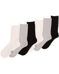 Felina - Assorted 6-Pack Textured Mesh Roll Top Crew Socks - Lyst