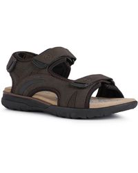 Geox Sandals, slides and flip flops for Men | Online Sale up to 74% off |  Lyst