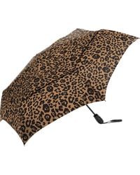 Shedrain - Auto Open Compact Umbrella - Lyst