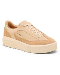 Sorel - Ona Ave T-toe Lace-up Sneakers - Lyst