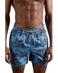 ted baker swimwear mens