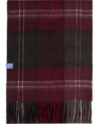 Lost Pattern - Plaid Cashmere Scarf - Lyst