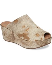 chocolate blue wedges