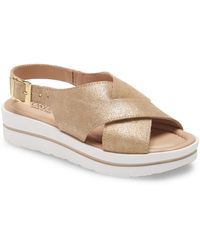 cordani sayger sandal