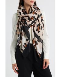 Tasha - Leopard Print Scarf - Lyst