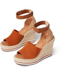 toms marisol