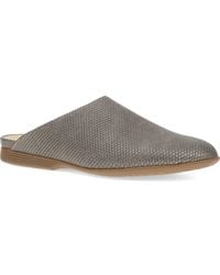 Dansko - Lysa Mule - Lyst
