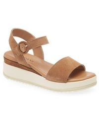 Cordani - Arielle Ankle Strap Platform Wedge Sandal - Lyst