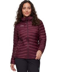 Mammut - Albula - Lyst