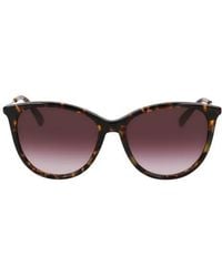 Longchamp - 55Mm Gradient Tea Cup Sunglasses - Lyst