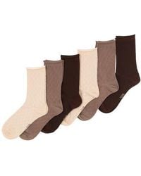 Felina - Assorted 6-Pack Textured Mesh Roll Top Crew Socks - Lyst