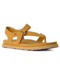 UGG - Goldengaze Toe Post Suede Sandal - Lyst
