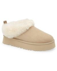 UGG - Tazzelle Genuine Shearling Collar Slipper - Lyst