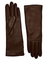 Agnelle - Christina Cashmere Lined Midlength Lambskin Glove - Lyst