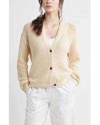 Caslon - Open Stitch Cotton Cardigan - Lyst