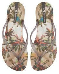 ipanema flip flops nordstrom