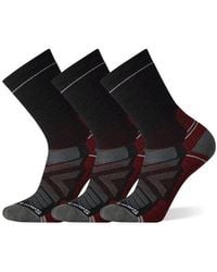 Smartwool - 3-Pack Hike Light Cushion Crew Socks - Lyst