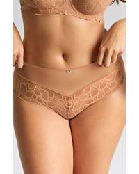 Panache - Allure Lace Cheeky Briefs - Lyst