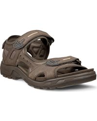 Ecco - Yucatan Sandal - Lyst