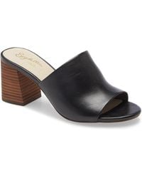seychelles mules