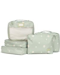 CALPAK - 5-Piece Packing Cube Set - Lyst