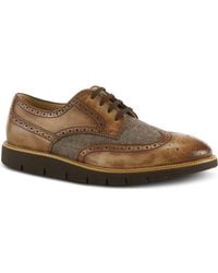 Spring Step - Beaufort Derby - Lyst