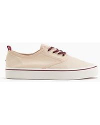 H&M - Cotton Canvas Trainers - Lyst